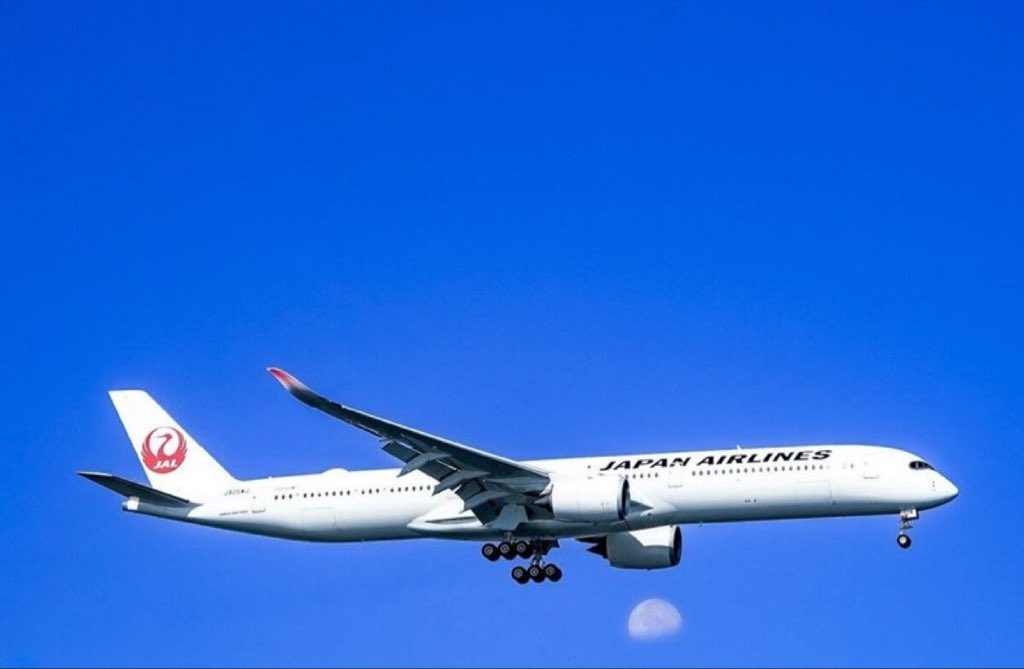 照见五蕴皆空 tweet media