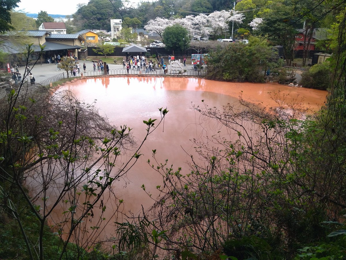 毎日健康飲酒ダイエット tweet media