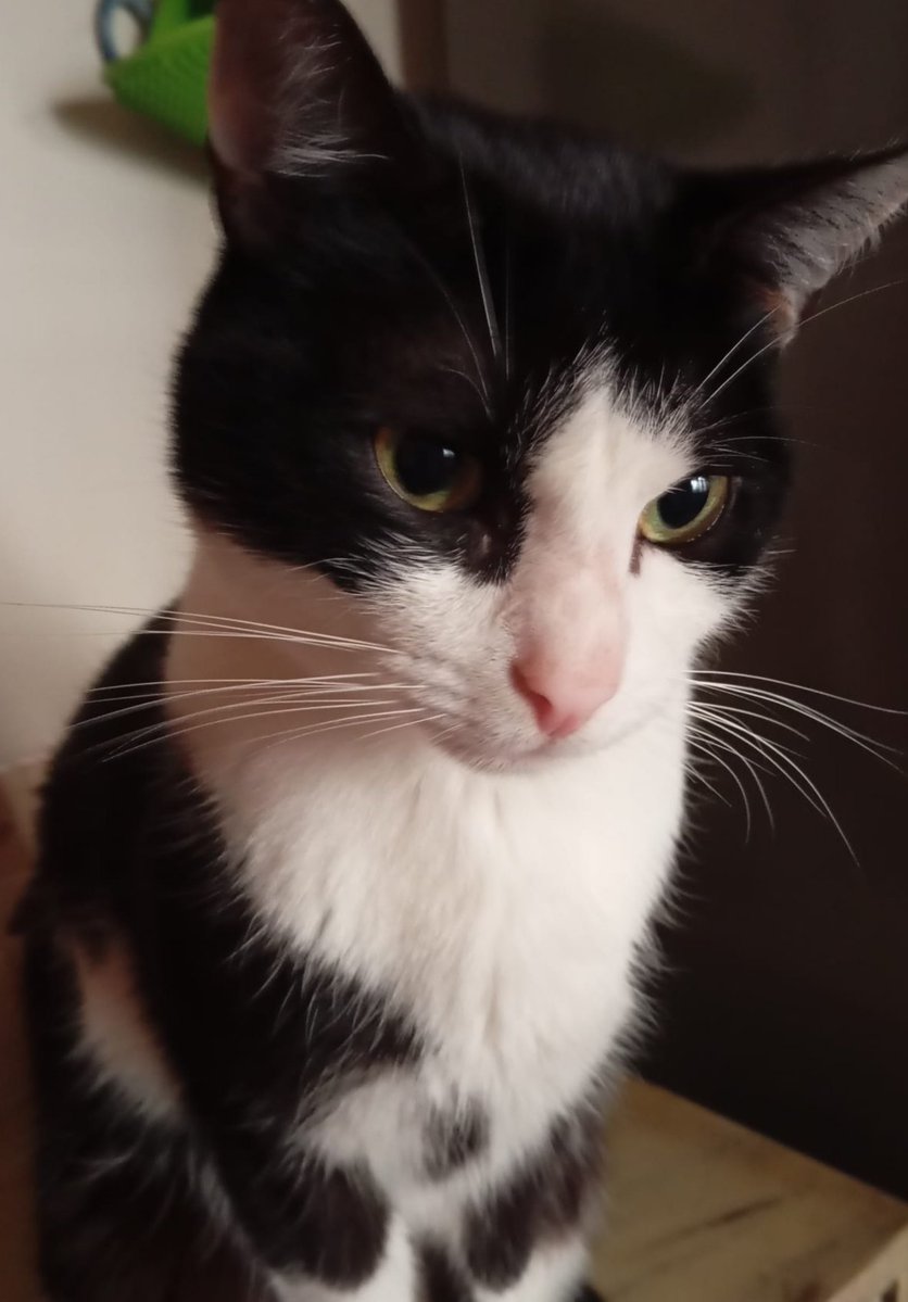 Enemiga Pública❤️💛💜🔻 tweet media