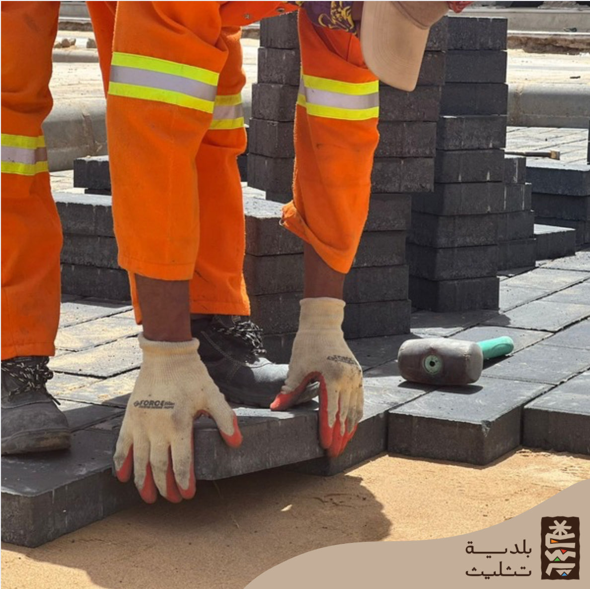 بـلدية تثليث tweet media