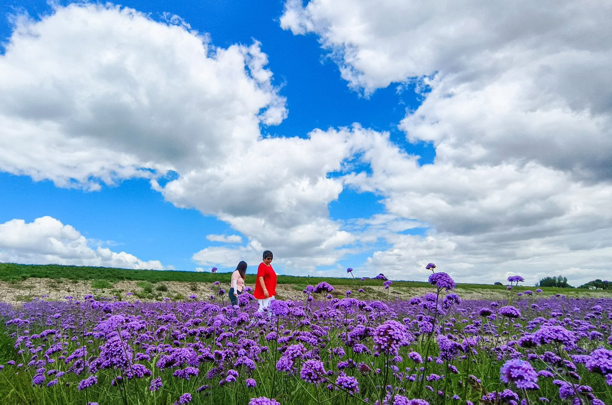 vikash dodiyar tweet media