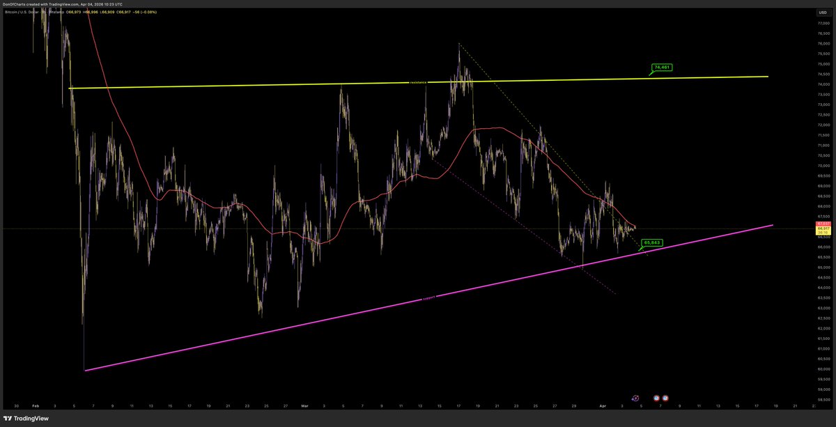 Don 🐂 tweet media