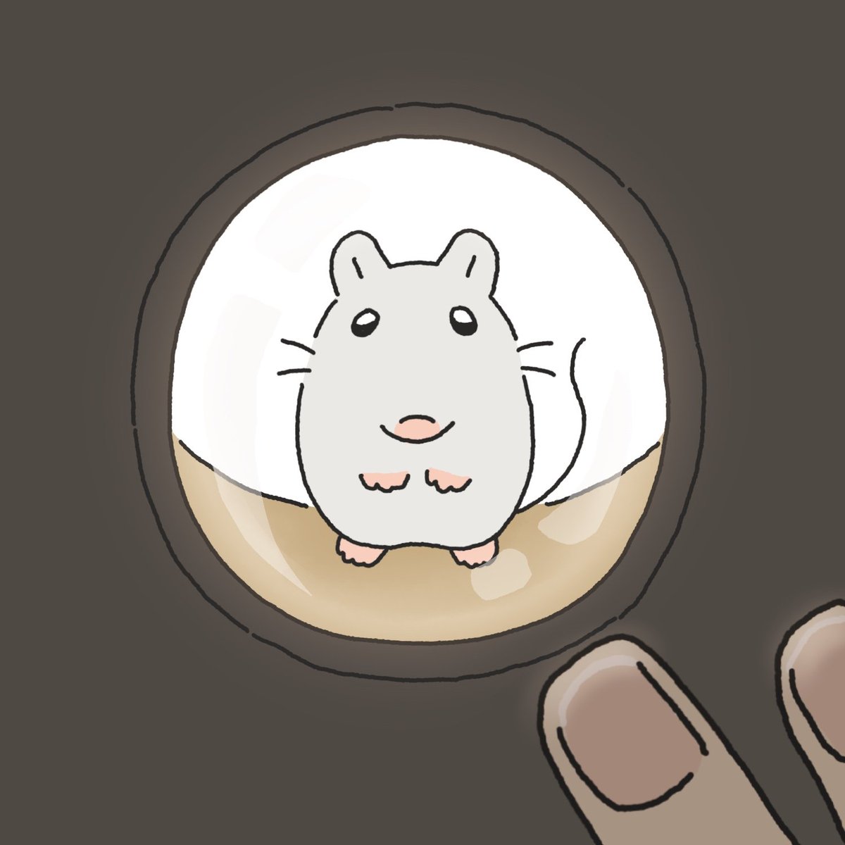 설치류를설치하기 tweet media