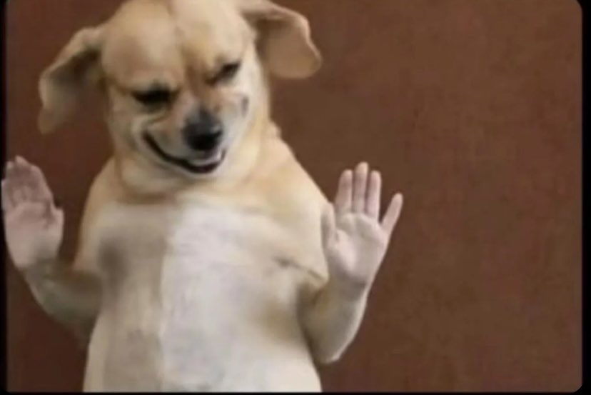 BANTI ROY🕊️🇩🇪 tweet media