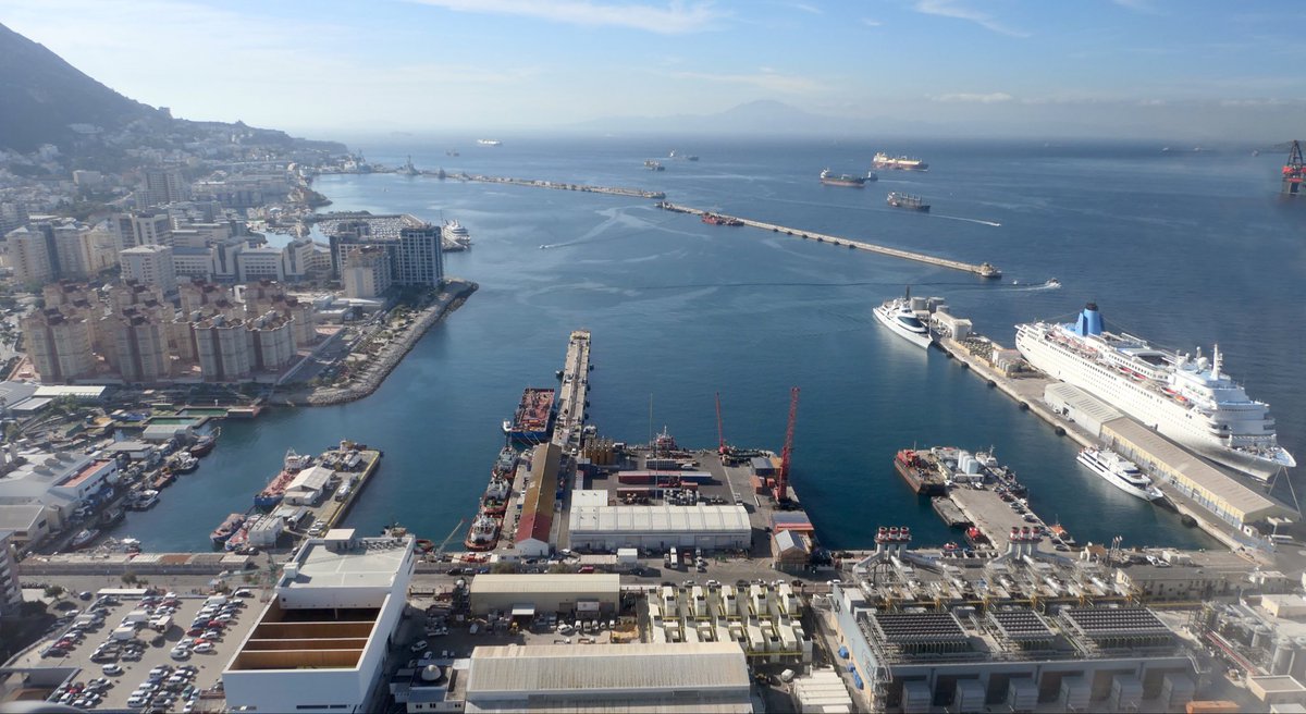 Haashashin 🌻🌻 🇺🇦 🇮🇨 tweet media