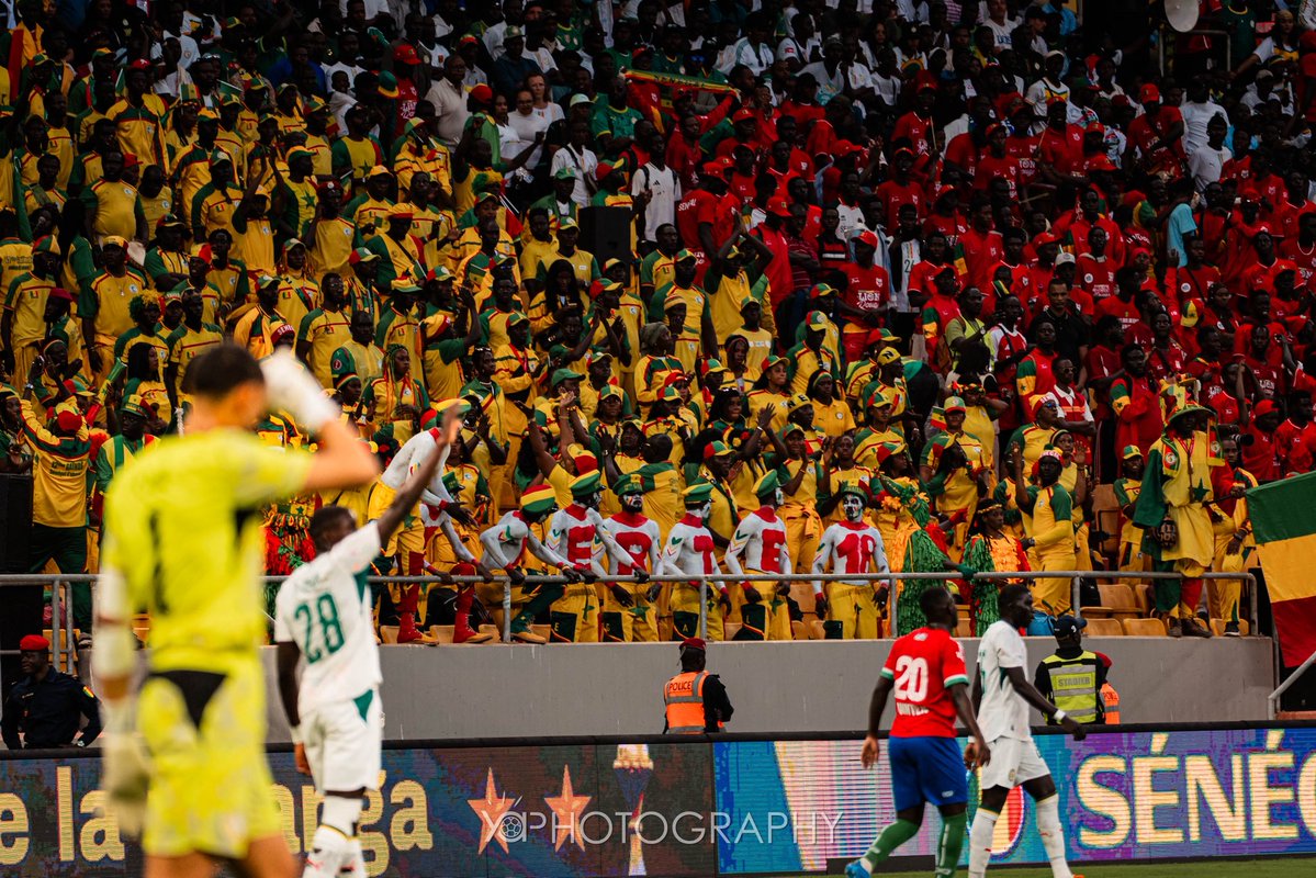 Mouhamadane tweet media