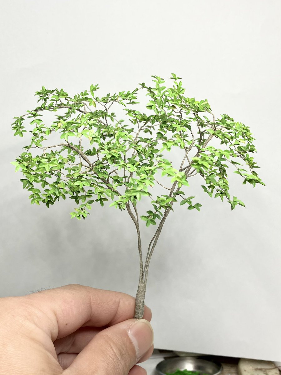 ゆうすけ tweet media