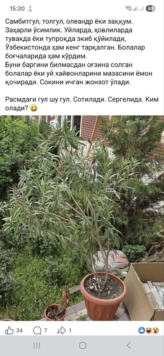 Anvar Yakubbayev tweet media