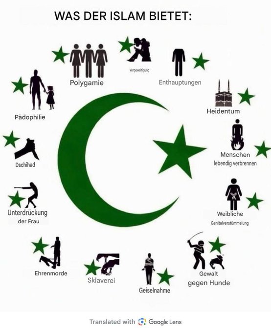 IrmaLaduus🇩🇪💙 tweet media