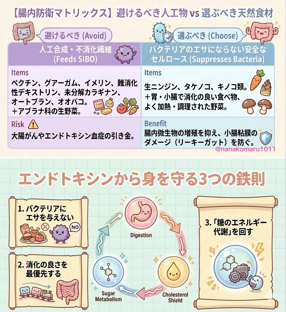 nanakomaru1011's tweet photo. 「腸内細菌は多ければ多いほどいい」
その常識、真っ赤な嘘です🥰

問題は「菌がいること」ではありません。

👉「いる場所」が致命的に間違っていること
👉「場所を間違えた菌」は毒になること

それが
👉SIBO（小腸内細菌異常増殖）です。

꒰ঌꕤ︎︎┈┈✧︎┈┈▫ꕤ︎︎

1️⃣小腸は“ほぼ無菌”の聖域

本来、小腸は栄養を「吸収」する場所。
発酵を担当する菌たちは「大腸」にいるのが正解です。

しかし、現代人の多くは
・低エネルギーで腸の動きが停滞
・生野菜や繊維などの未消化物が小腸に滞留

その結果
👉小腸が“菌のバイキング会場”と化します。

本来いないはずの場所で菌が増殖し、
さらに大腸からの逆流で小腸を占拠します。

꒰ঌꕤ︎︎┈┈✧︎┈┈▫ꕤ︎︎

2️⃣ここからが本当に怖いところ

増えすぎた菌はやがて死にます。

その際、菌の細胞壁の破片である
「エンドトキシン（LPS）」を放出。

これは体にとって、
「細菌侵入」を告げる最強の危険信号（炎症物質）です。

最悪なのは、
👉これが「小腸」で起きること。

小腸は栄養を吸収するため、
壁が極限まで薄く、
血管が網の目のように張り巡らされた「入り口」です。

そこで毒が発生したらどうなるか？
血液へダイレクトに侵入し、全身を巡ります。
これが「エンドトキシン血症」。

慢性的な疲労、肌荒れ、脳の霧...
あらゆる炎症の黒幕は、
この“場所を間違えた菌の死骸”かもしれません🥹

꒰ঌꕤ︎︎┈┈✧︎┈┈▫ꕤ︎︎

3️⃣「菌」が悪なのではありません

👉問題はあなたの消化能力を超えたものが、
吸収の聖域（小腸）でエサになり、
毒に変わっているという事実です🥹💔💔