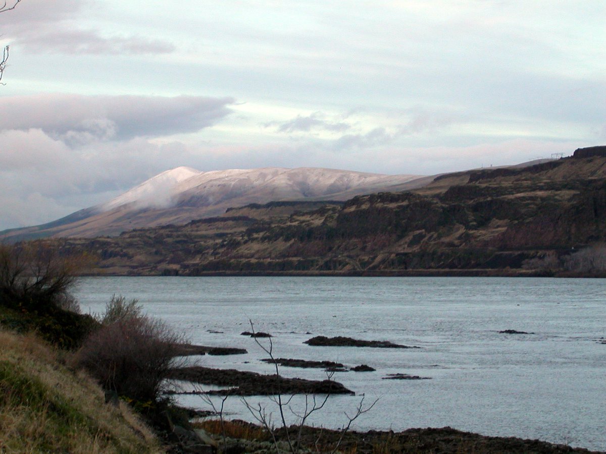 Featherprop tweet media