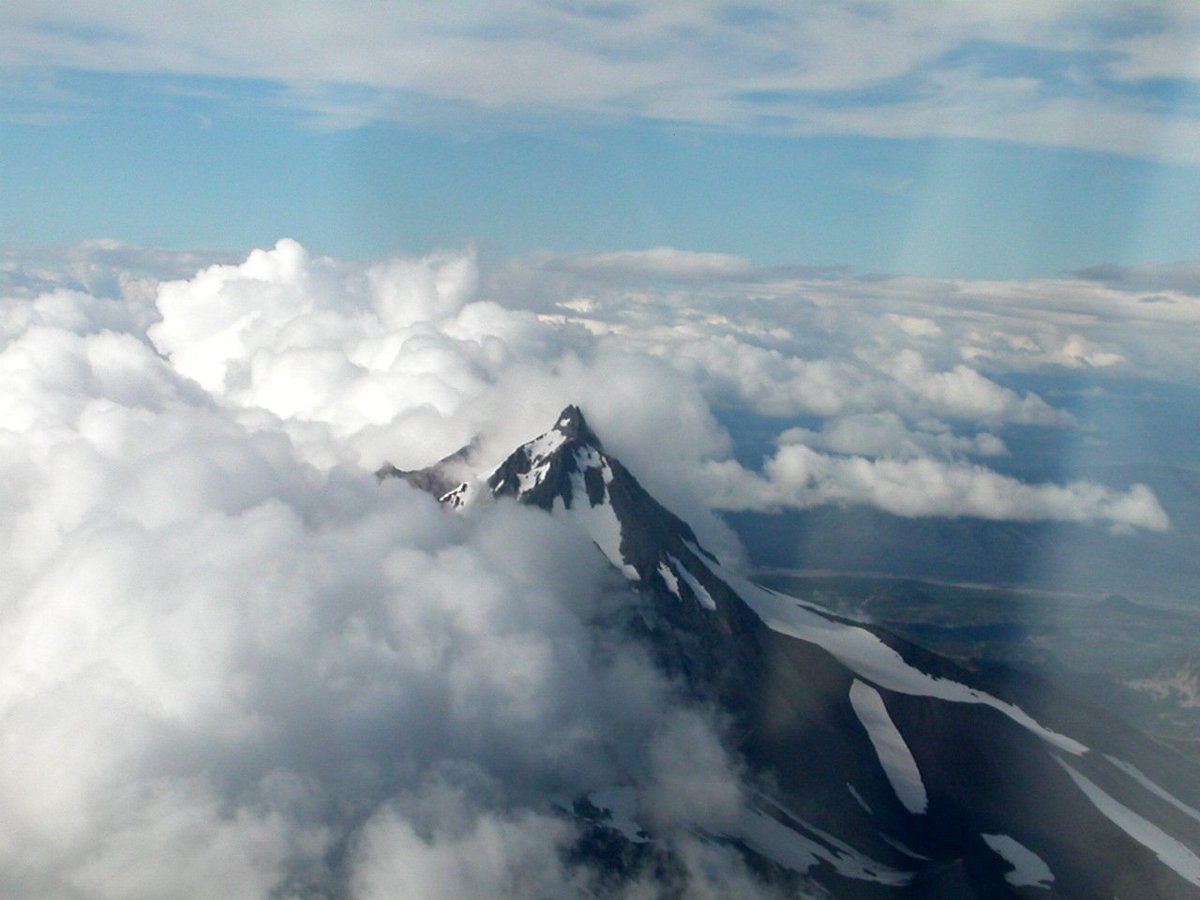 Featherprop tweet media