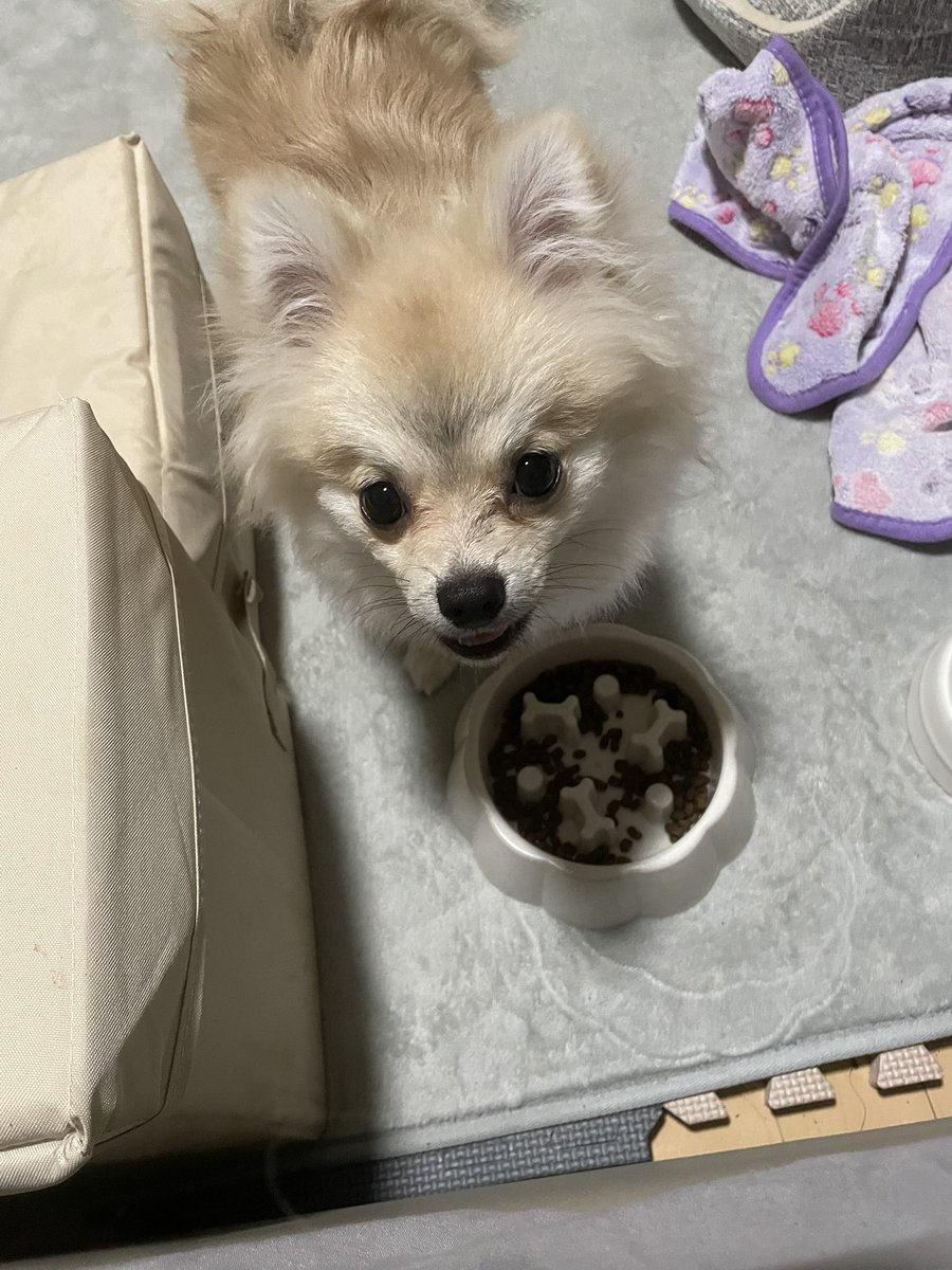 そらみなと🐕 6.27バースデー tweet media