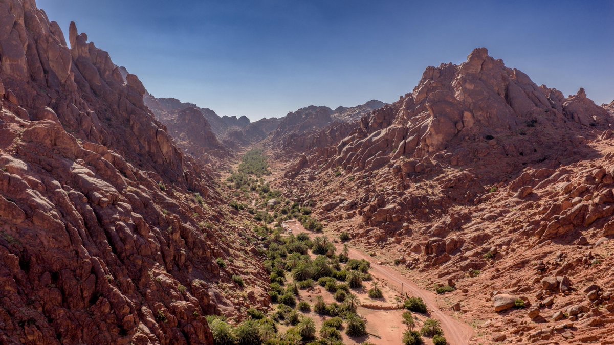 أمانة منطقة حائل tweet media