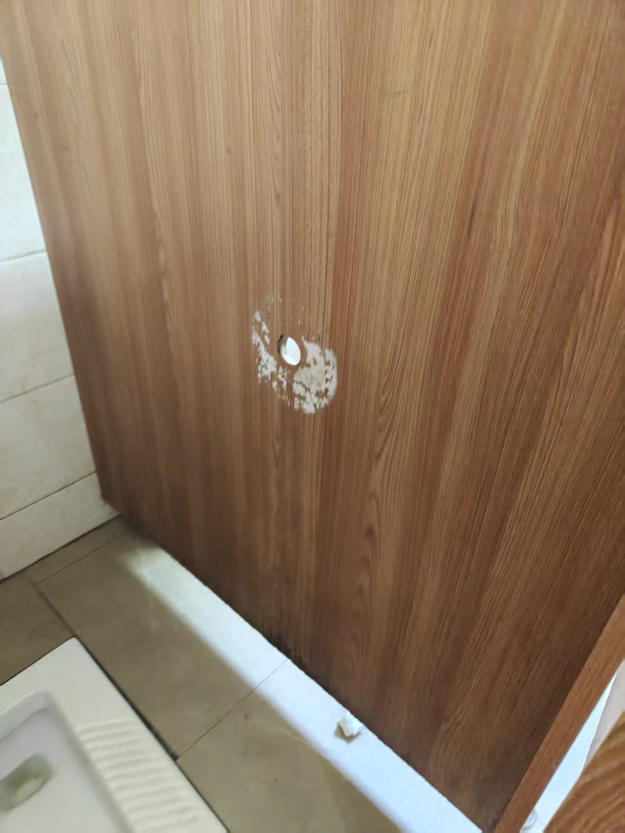 服从愉悦🧠 tweet media