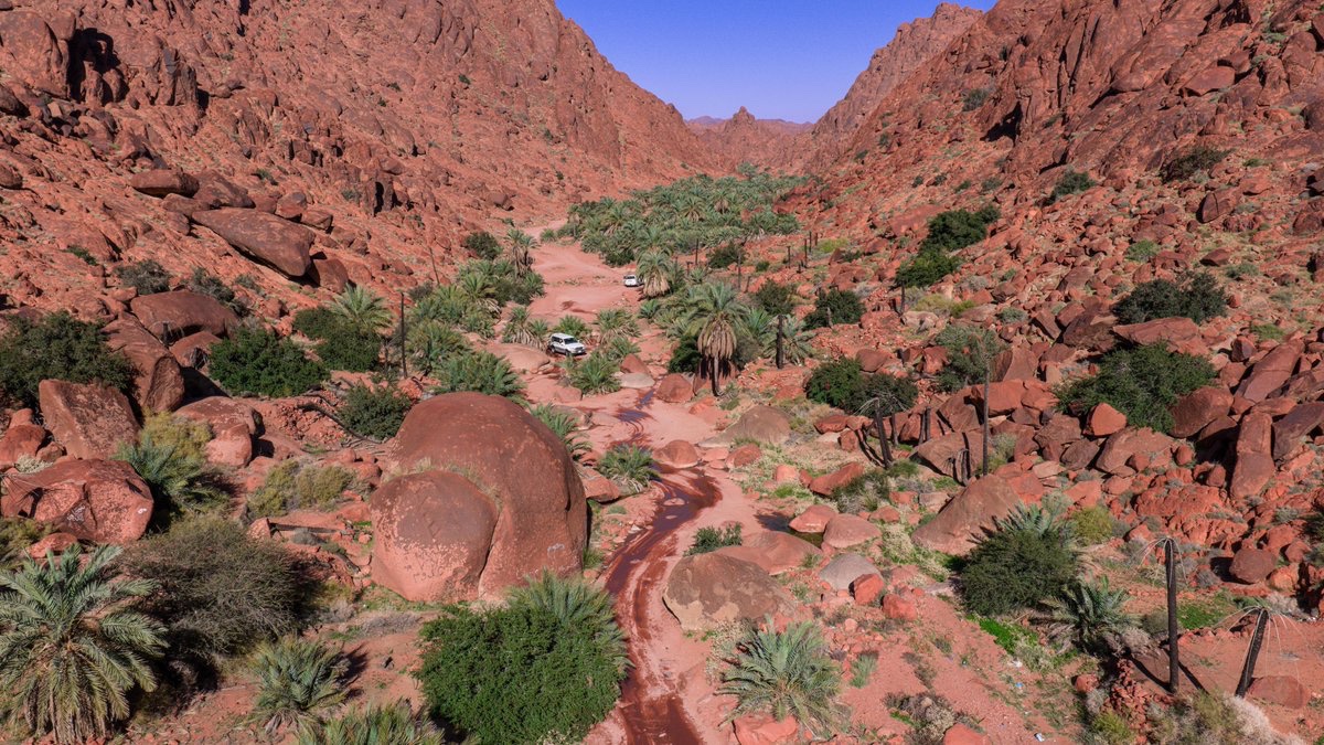 أمانة منطقة حائل tweet media