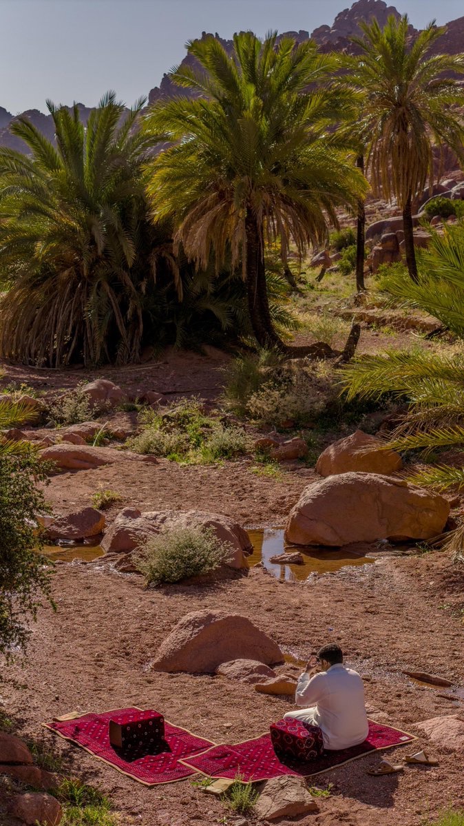 أمانة منطقة حائل tweet media