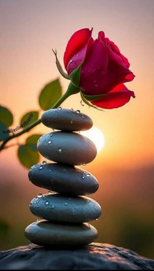 السمو✨️ˢ ᵐ ᵒ tweet media