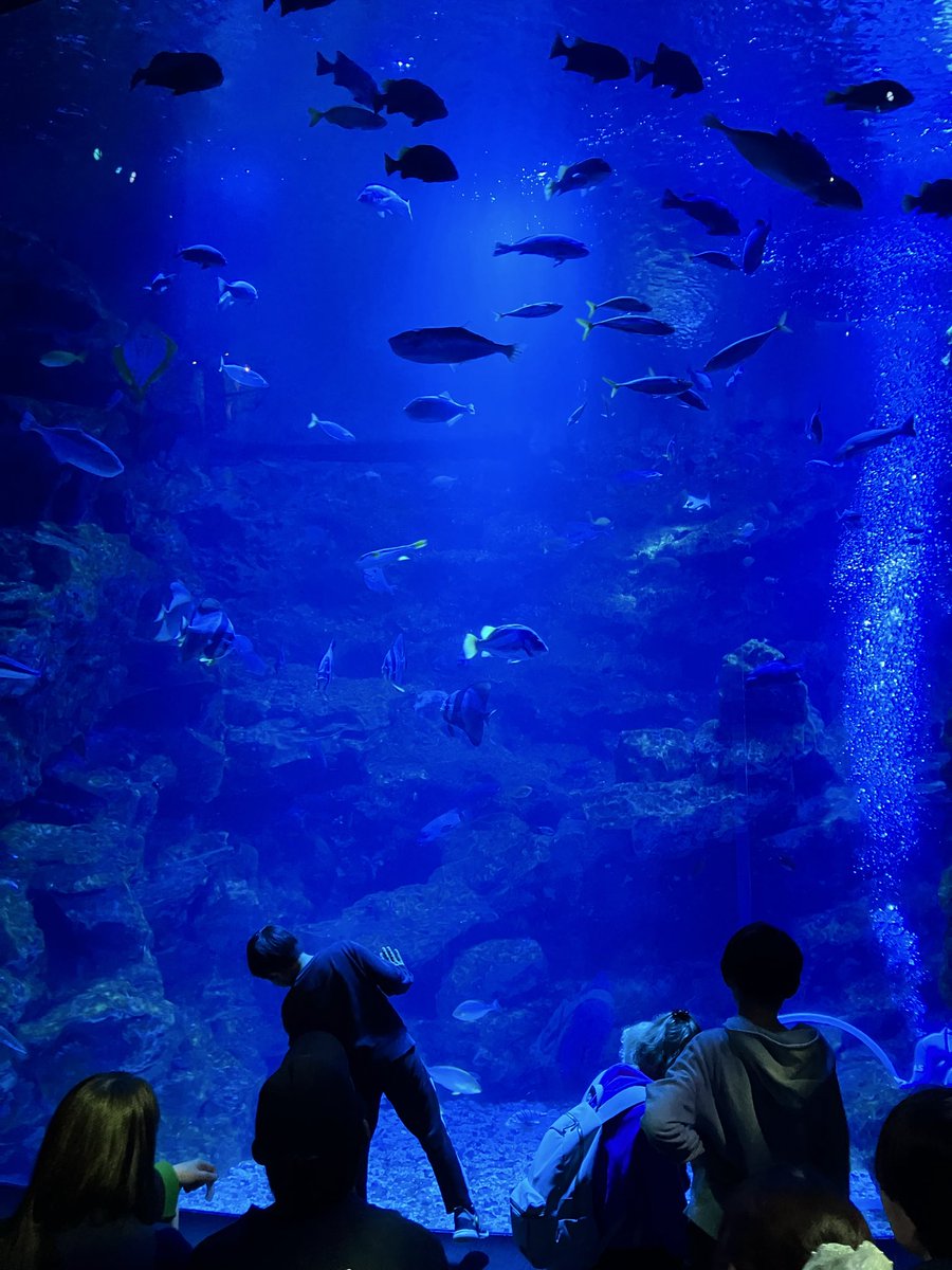 まなつ tweet media