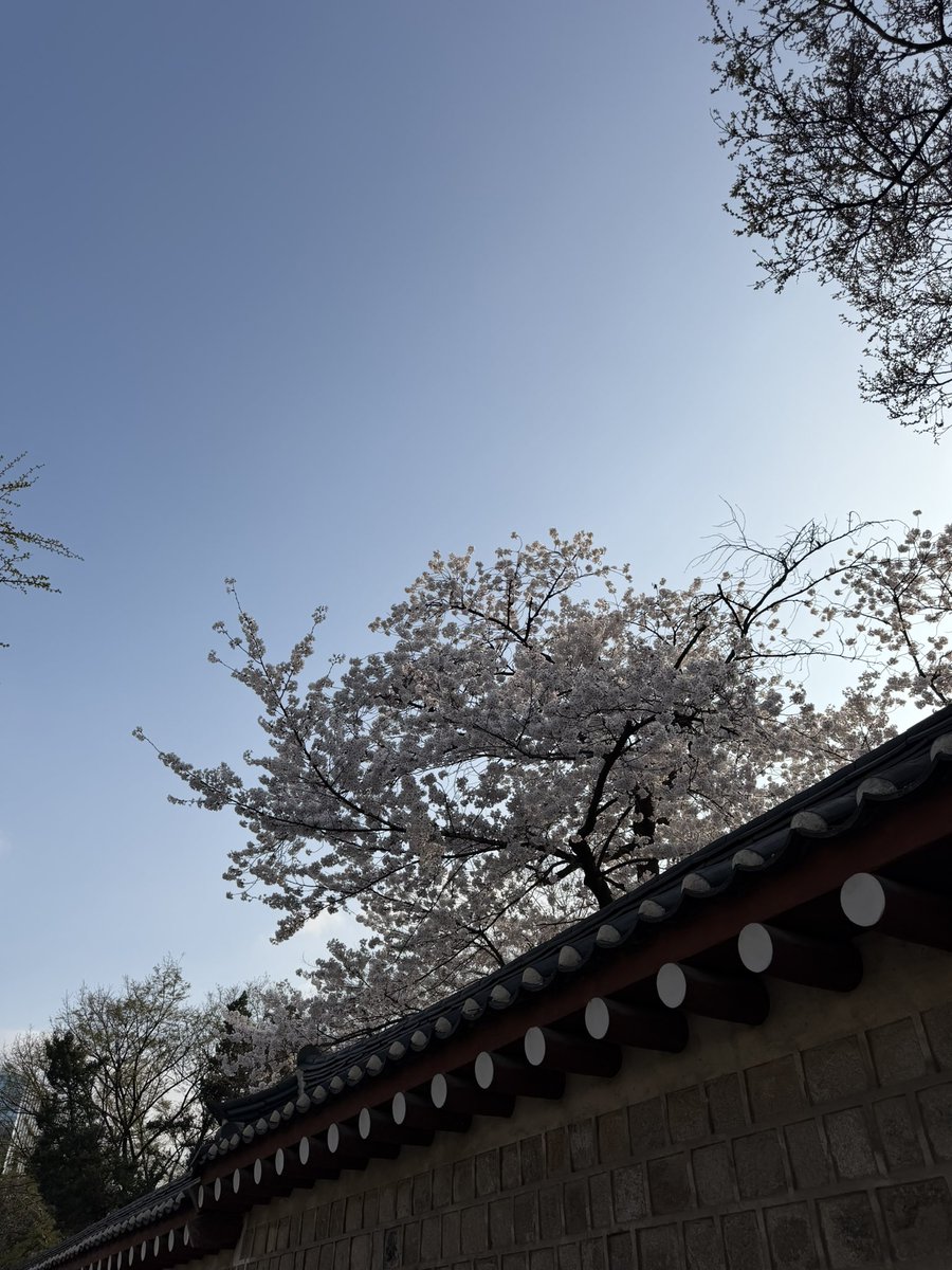 사희 sahee tweet media