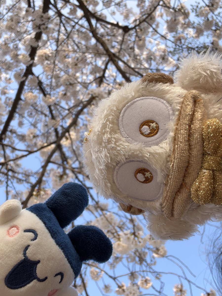 사희 sahee tweet media