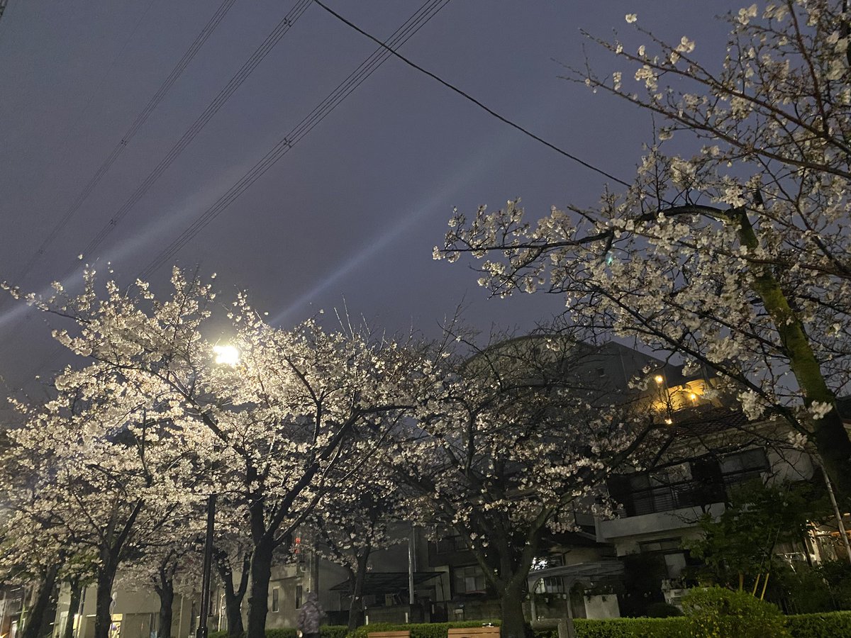 誤爆王べーさん🐝🌟 tweet media