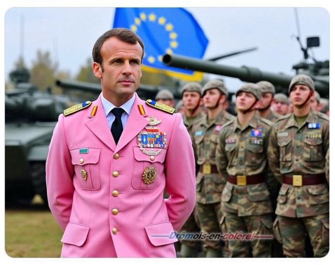 NéoDiss 🇫🇷 tweet media