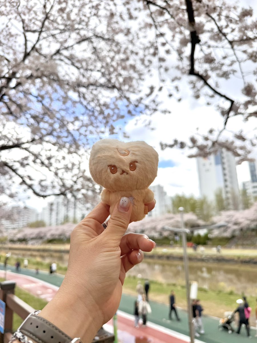 trueeee kim tweet media