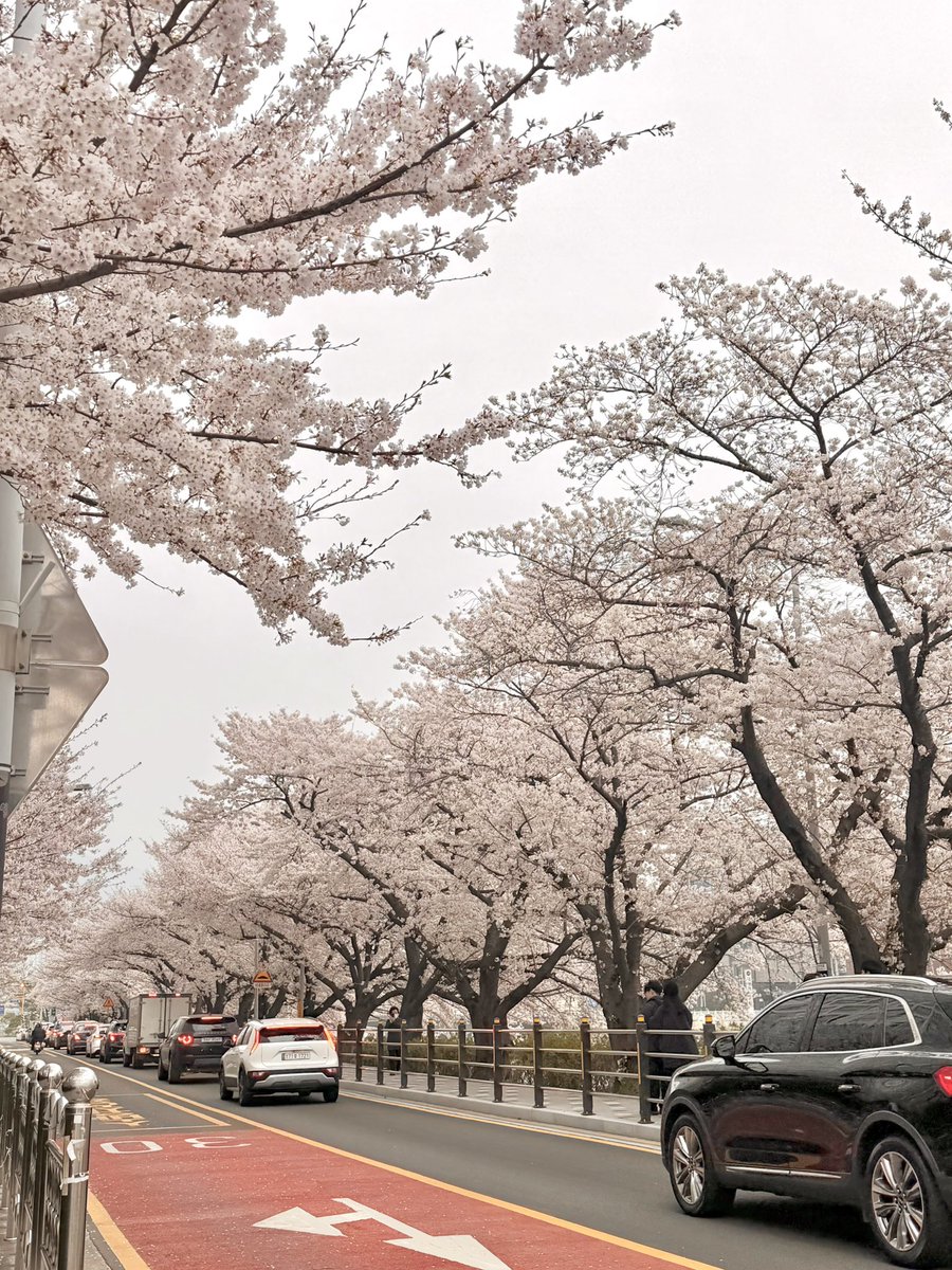 trueeee kim tweet media