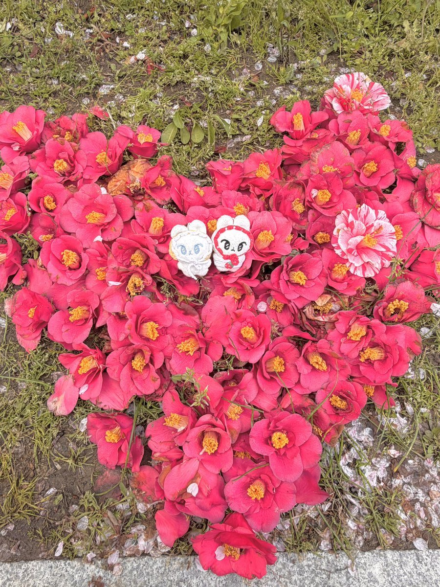 trueeee kim tweet media