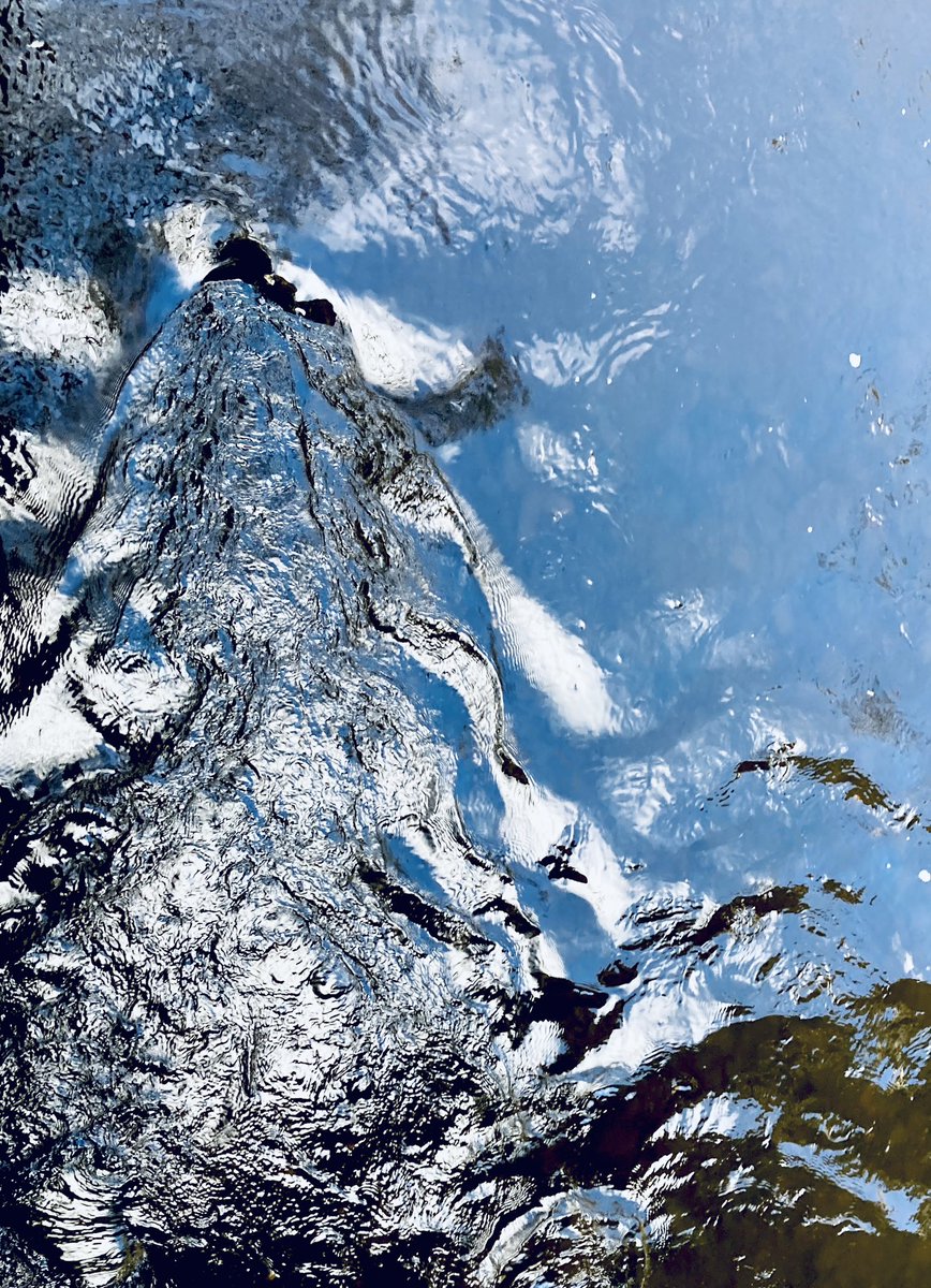 Walk to Work Glasgow tweet media