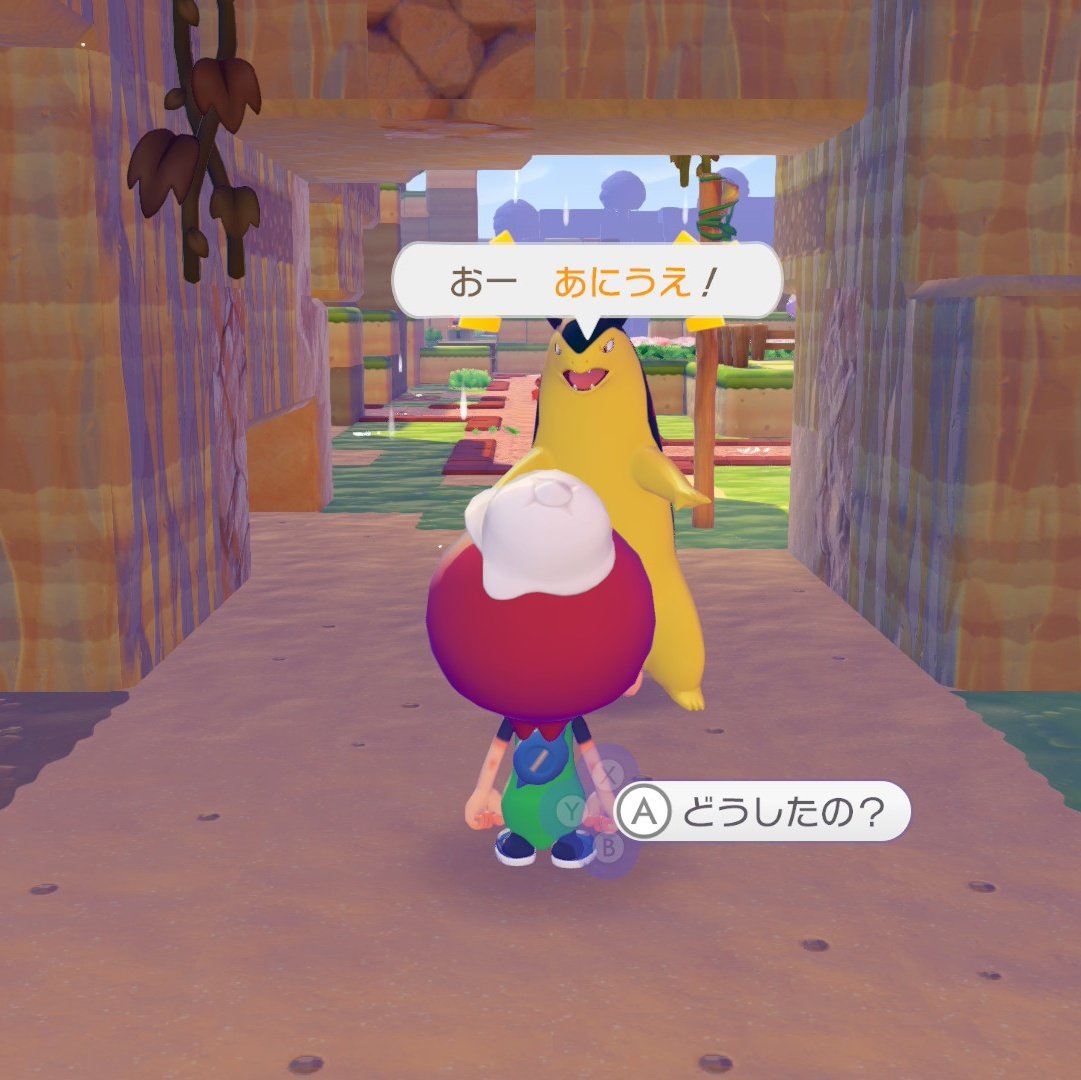 なつこ🍚 tweet media