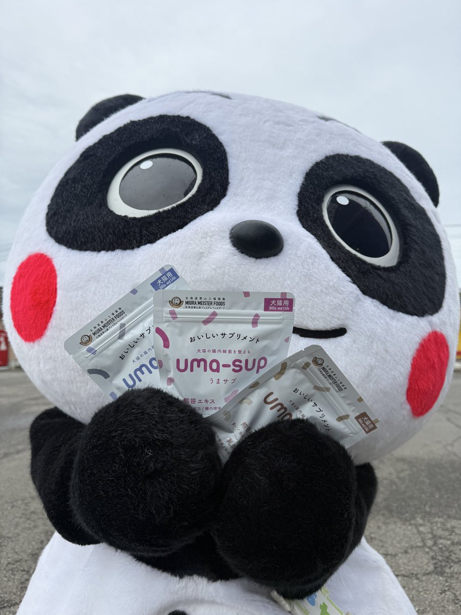 pasuke_kakusei's tweet photo. 今日は輪島市を元気にする「なかよしキャラバン」に参加してきたんだぞ✨

たくさんお友達が出来て楽しかったんだぞ😆✨

#輪島市 #輪島なかよしキャラバン https://t.co/4XTwWH69pt