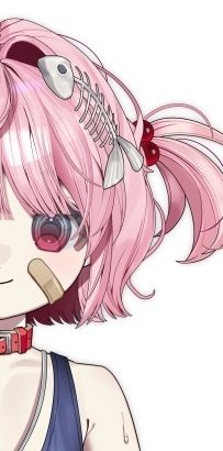 카몬 かもん 🦖🎒 tweet media