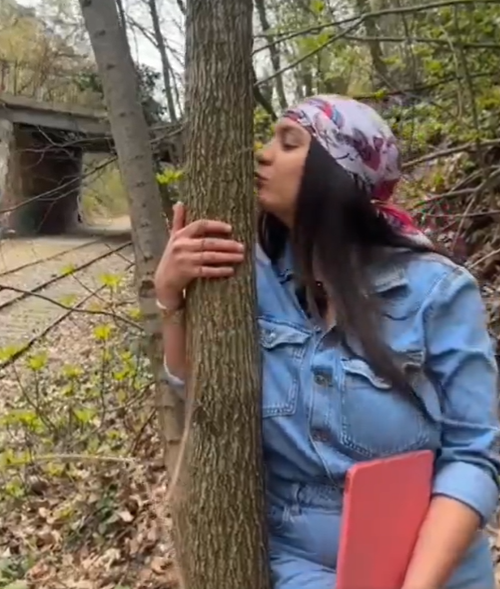 Poussin Créole 🇫🇷 🇷🇪 tweet media