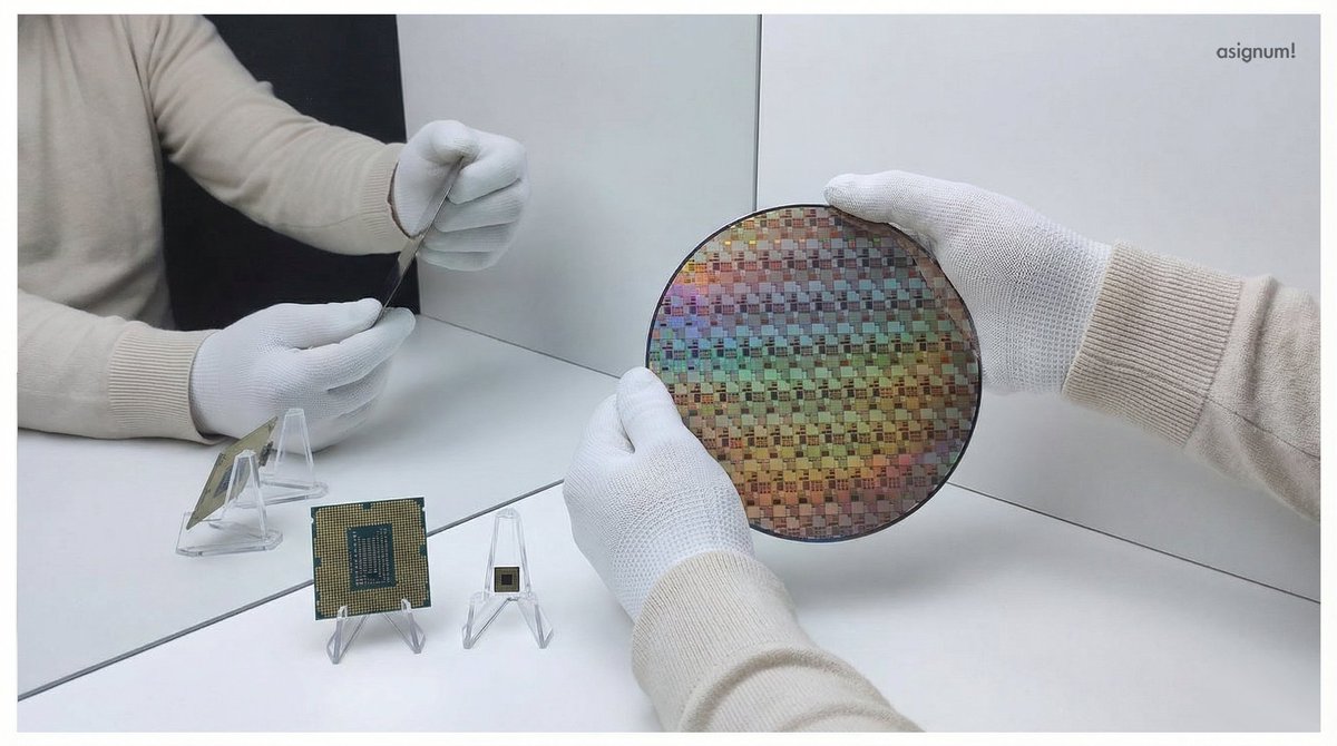 asignum | Interactive Digital Technology Solutions tweet media