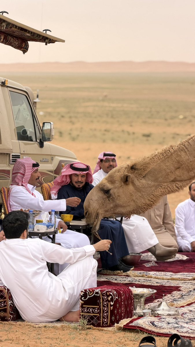 نمر الذيابي tweet media
