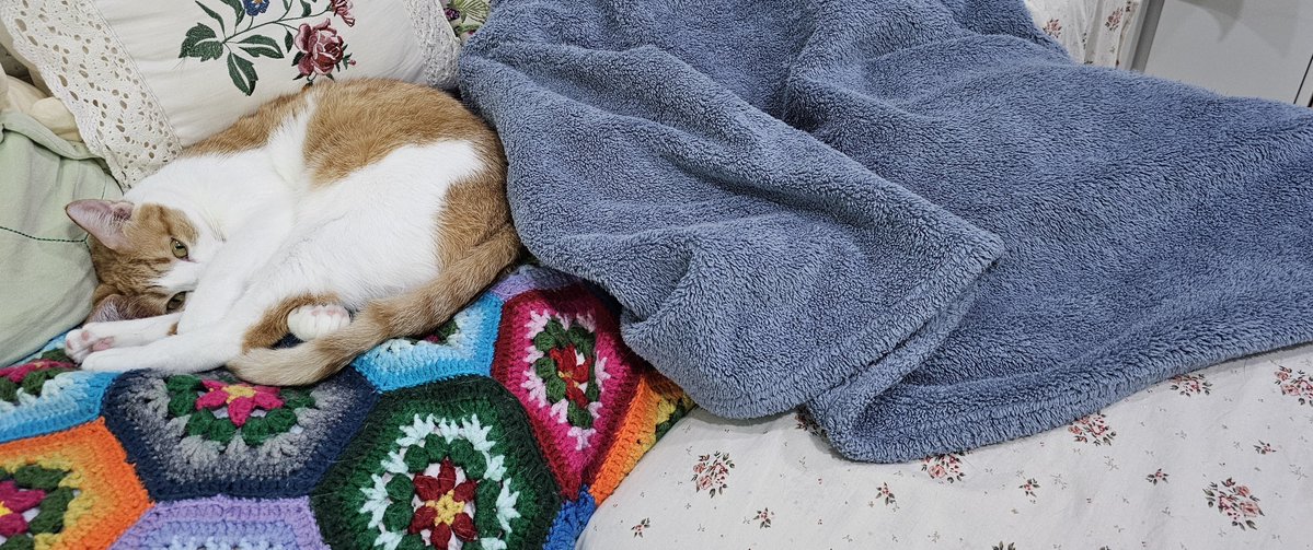 강나루 건너 밀밭길을... tweet media