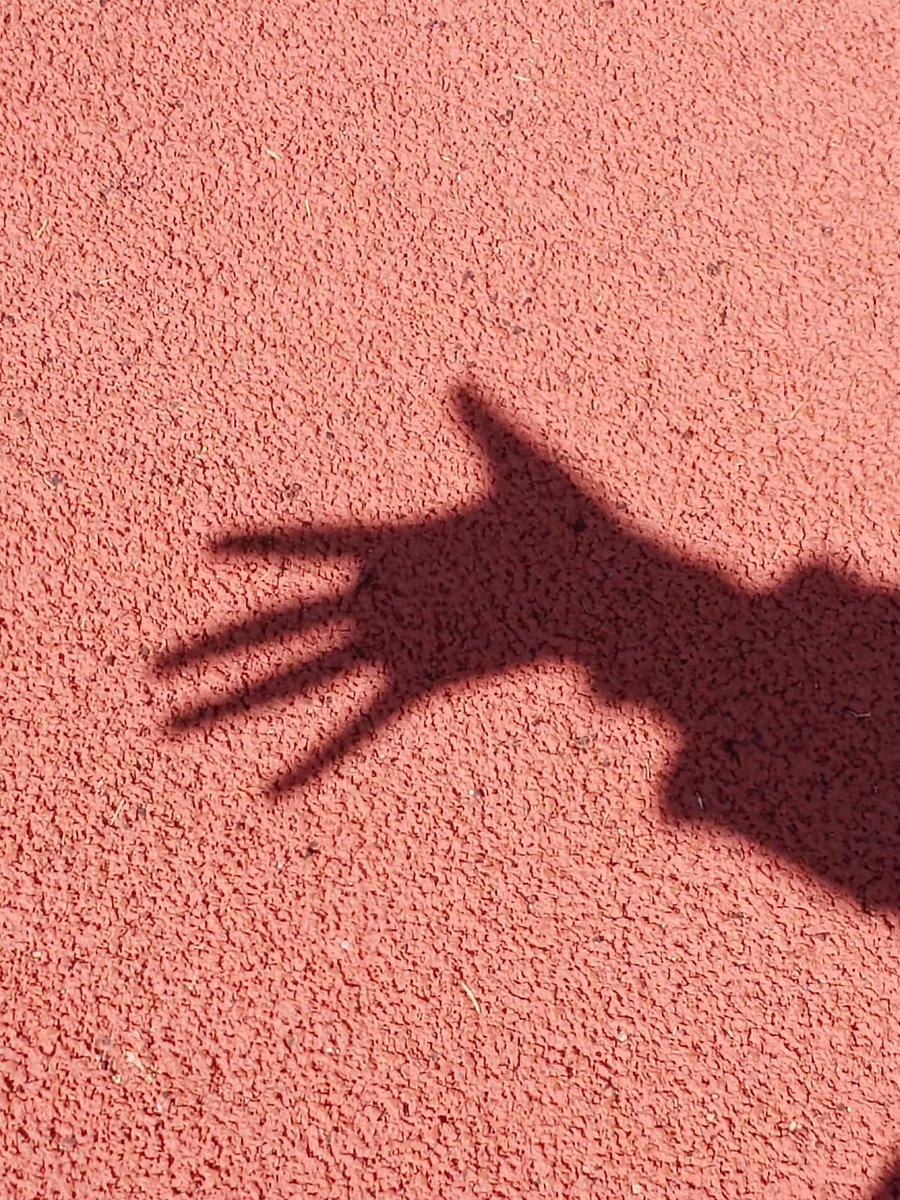 Allexstill's tweet photo. "Small daily moves = big health wins! Take 5 mins to stretch, sip water, or step outside—your body will thank you. " https://t.co/L7WZFQNbNs