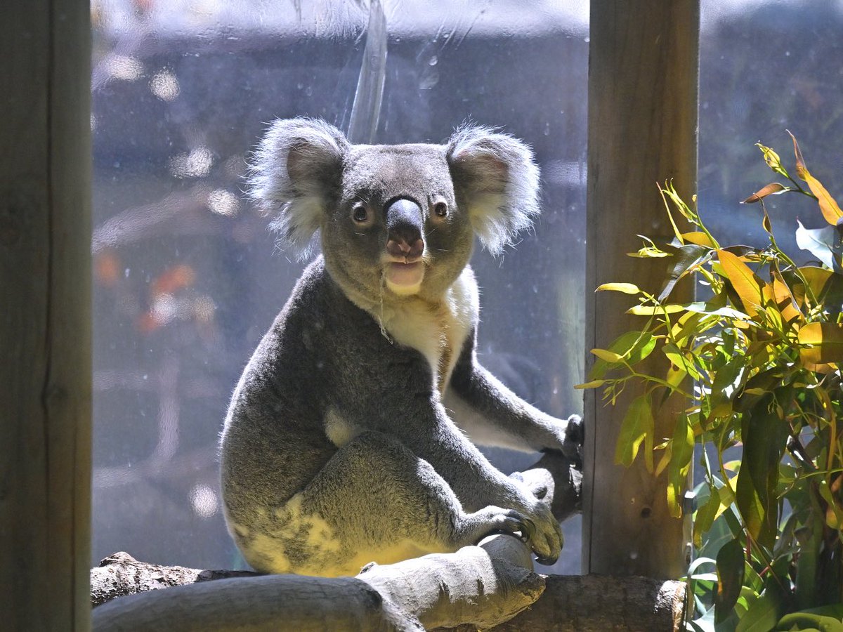 都築英哲 tweet media