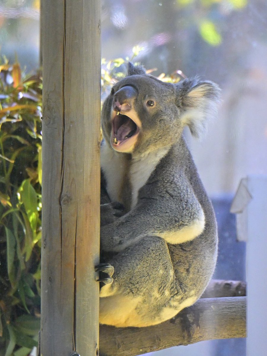 都築英哲 tweet media