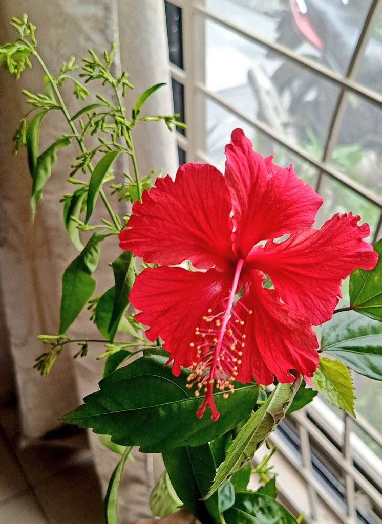 amnahahmad_13's tweet photo. 🌺 https://t.co/oo7NYumlGO