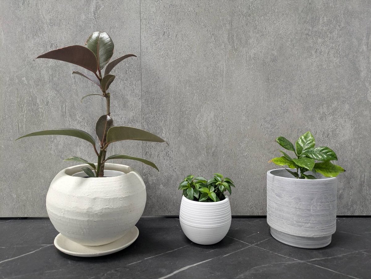 かずや@DBFW tweet media