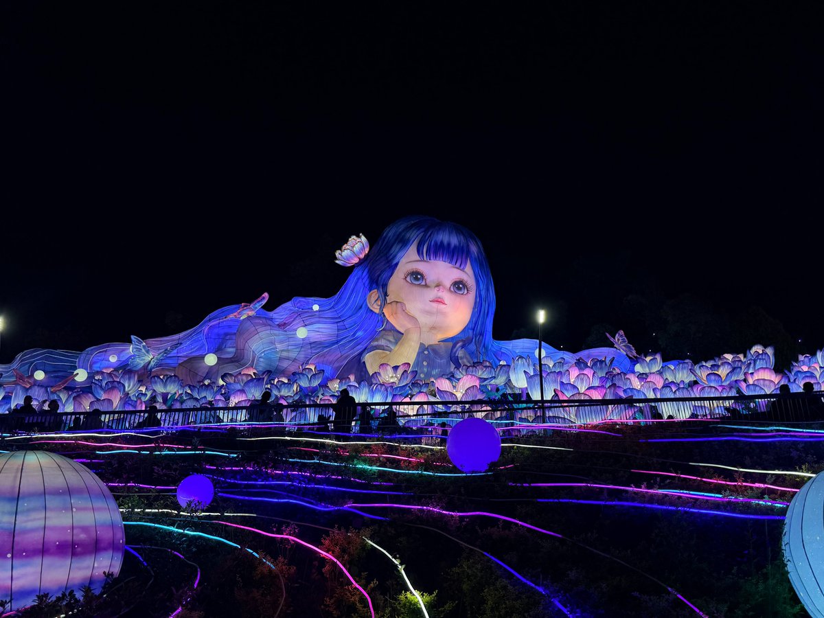 Miss tang 🐬TermMax tweet media