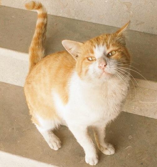 𝘌𝘦𝘥𝘢𝘓𝘐.. tweet media