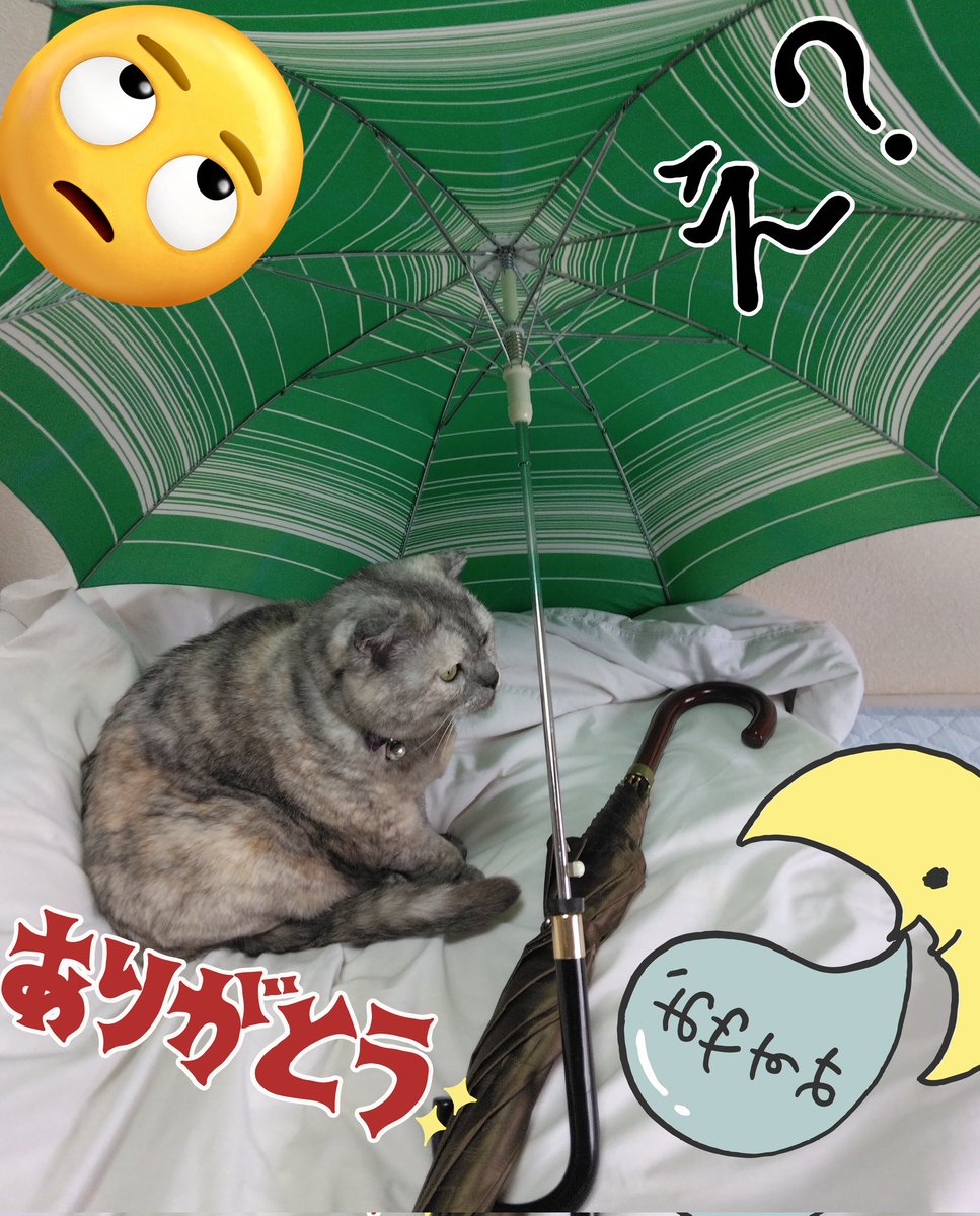 ギャオス tweet media