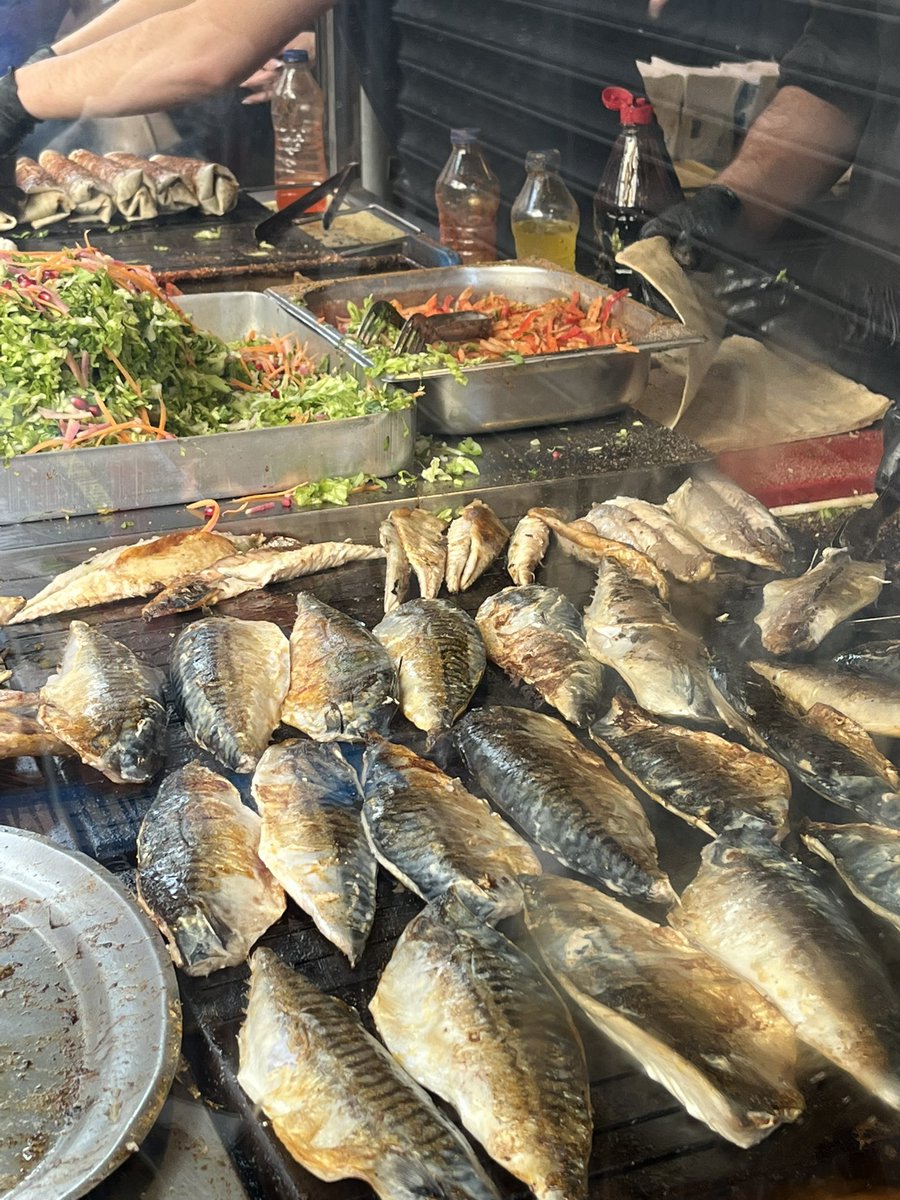 Hasan Mert Kaya tweet media