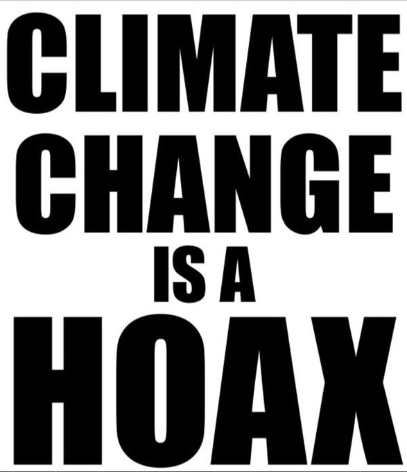 1000FrollyPhD tweet media