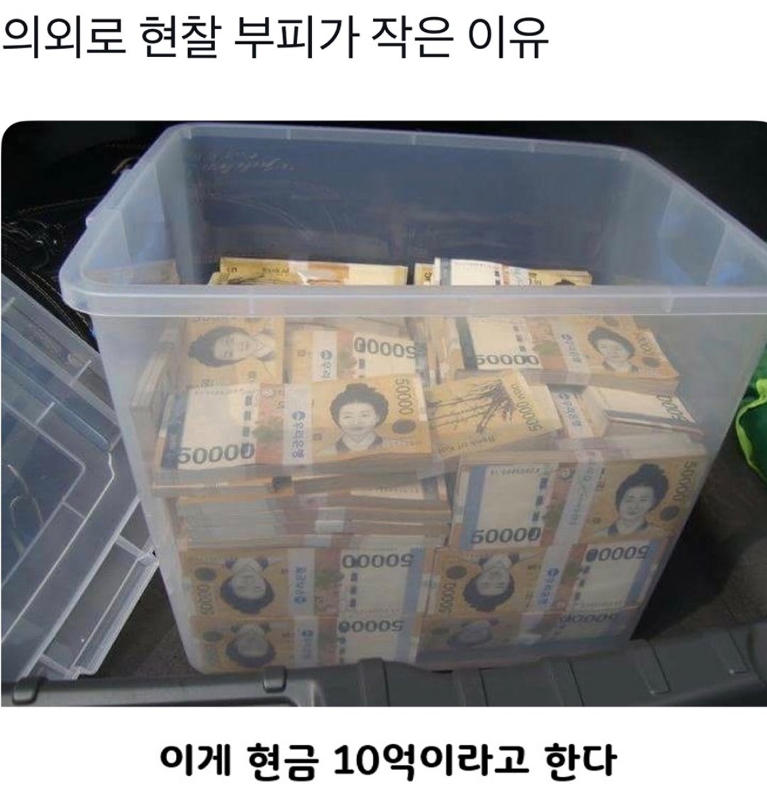 캣츠파파 tweet media