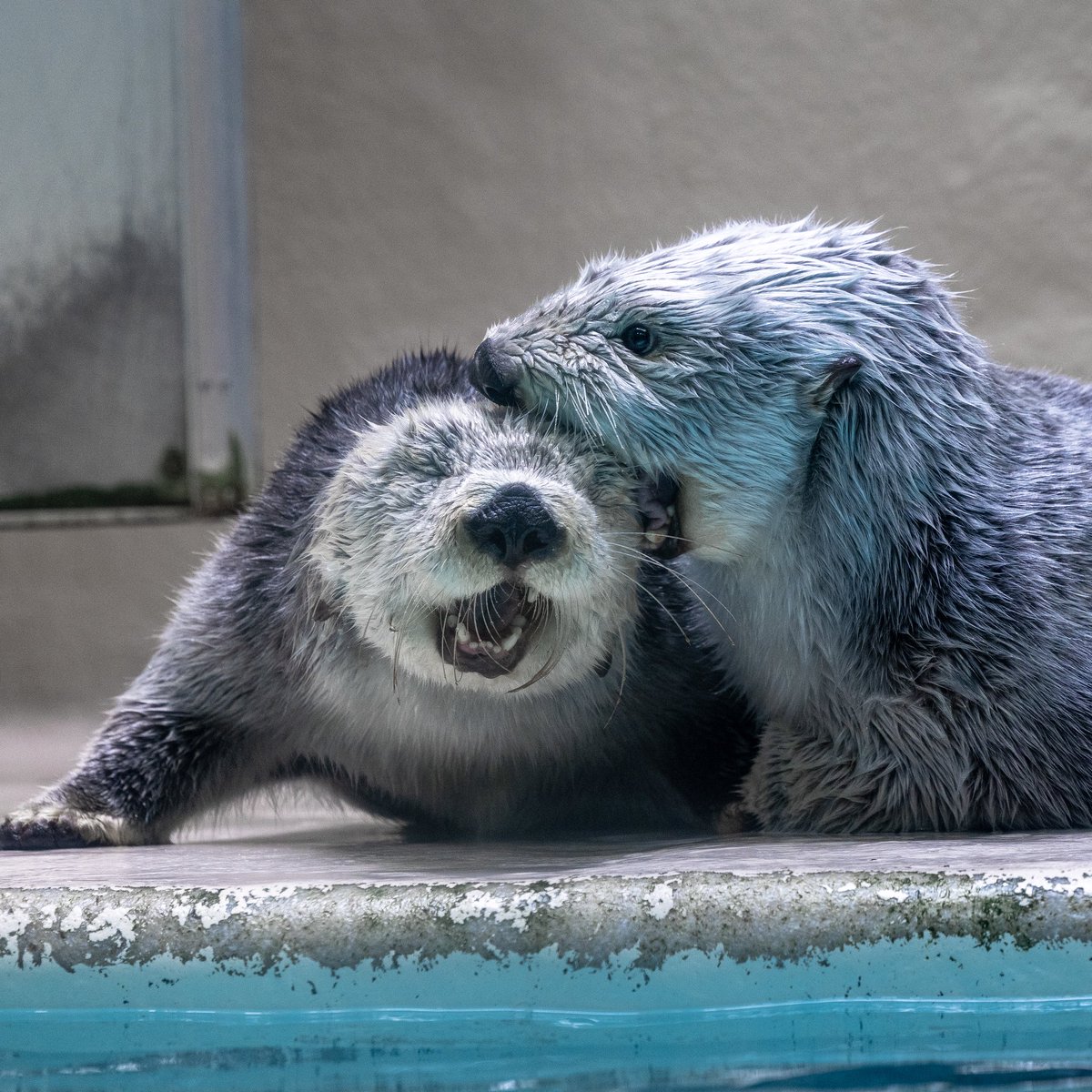 𝕃𝕃𝕆𝕐ℂ𝔼 tweet media